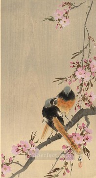 redstart on cherry branch Ohara Koson birds Oil Paintings